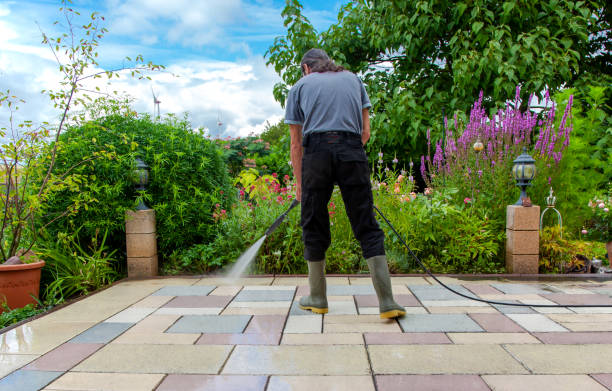 Best Roof Cleaning and Mildew Removal in Gurnee, IL